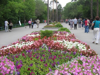 IMG_0975.JPG