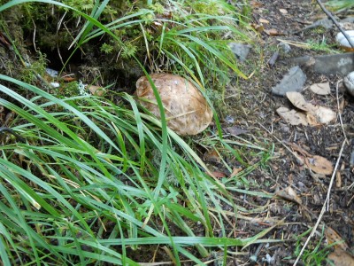 DSCN0330.jpg