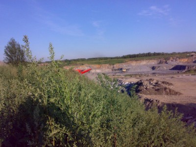 07082009378.jpg