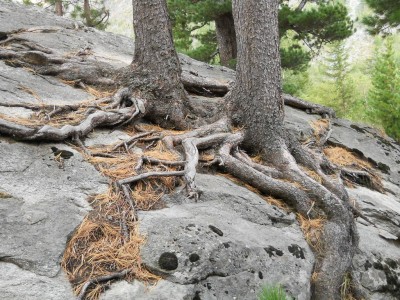 DSCN0729.jpg