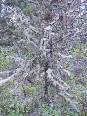 DSCN0735.jpg