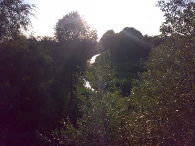 07082009383.jpg