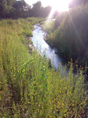 07082009387.jpg