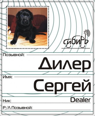 Beydzik-diler.jpg