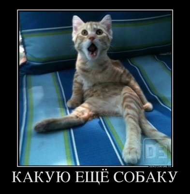 8784258_kakuyu-eschyo-sobaku.jpg (84.88 КБ) 8355 просмотров 8784258_kakuyu-eschyo-sobaku.jpg