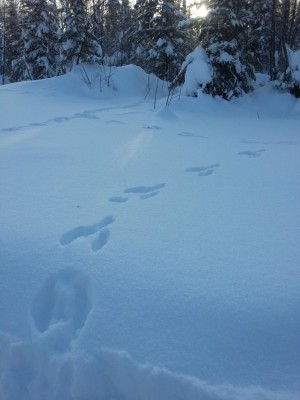 2012-12-08 12.15.07.jpg
