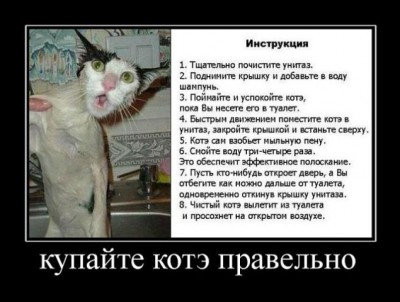 stirka.jpeg (54.56 КБ) 3640 просмотров stirka.jpeg