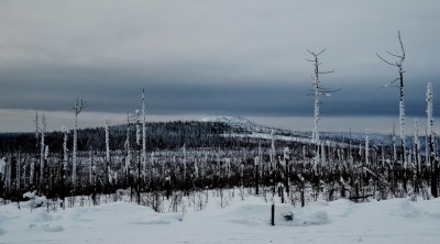 эвенкийский пейзаж 1.jpg