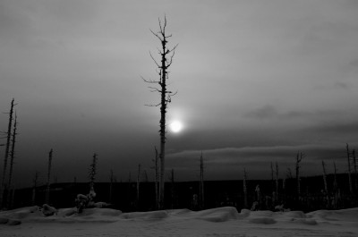 эвенкийская ночь.jpg