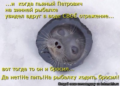 kotomatritsa_Yp.jpg