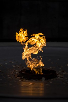 IMG_4665 копия.jpg