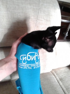 20130517_071218.jpg
