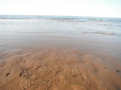 DSCF2046.JPG