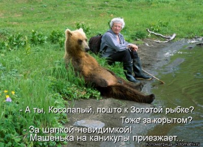 kotomatritsa_2a.jpg