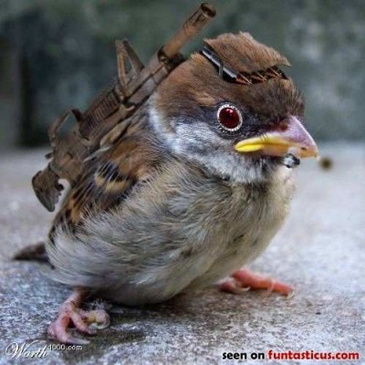 img_14732712_477_9.jpg (31.3 КБ) 3587 просмотров img_14732712_477_9.jpg