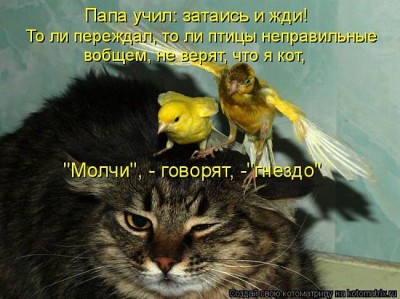 0b241caa4e41ac3fe8ec6b69457e6c94.jpg (56.55 КБ) 3584 просмотра 0b241caa4e41ac3fe8ec6b69457e6c94.jpg