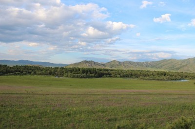 IMG_2311.JPG