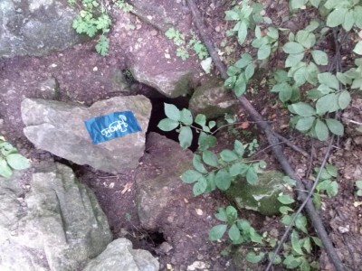 2013-07-20 15.03.07.jpg