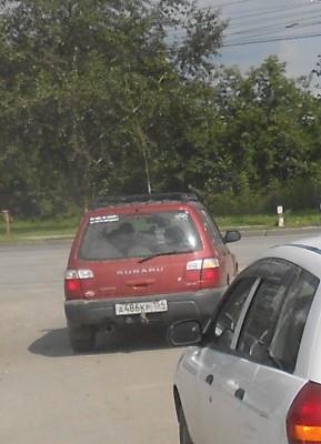 DSCN3961.JPG