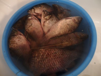 eY107gw74xA.jpg (88.71 КБ) 11053 просмотра eY107gw74xA.jpg