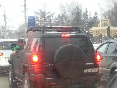 20131221_163555.jpg (115.47 КБ) 7542 просмотра 20131221_163555.jpg