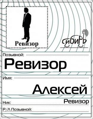 бейджик ревизор.jpg