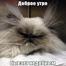 доброе утречко.jpg
