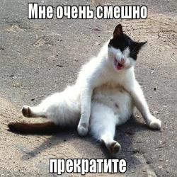 мне очень смешно.jpg