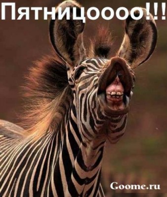 0a0c3c9e22b6e7a0a277d940c0d9ed0e.jpg (61.93 КБ) 4881 просмотр 0a0c3c9e22b6e7a0a277d940c0d9ed0e.jpg