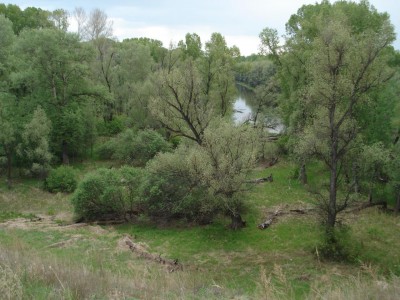 DSC08983.JPG (220.66 КБ) 12196 просмотров DSC08983.JPG