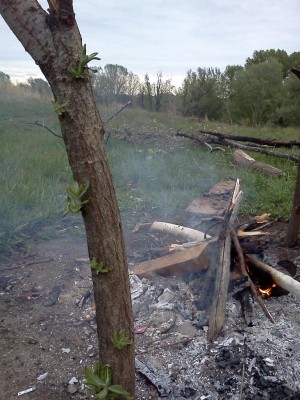 IMG275.jpg (160.48 КБ) 12196 просмотров IMG275.jpg