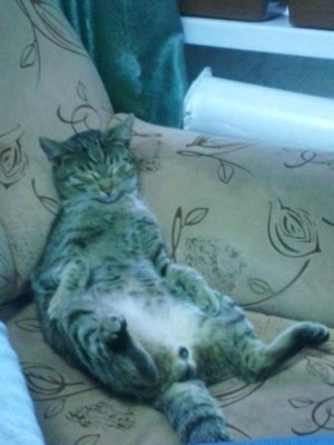 IMG_20140603_211032.jpg (67.08 КБ) 3558 просмотров IMG_20140603_211032.jpg