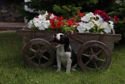 BVKsXFsSSsQ.jpg (52.22 КБ) 7707 просмотров BVKsXFsSSsQ.jpg