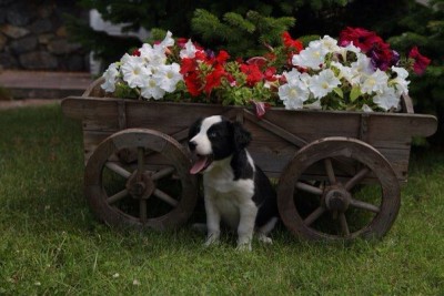 i6OF2jmpzPI.jpg (54.05 КБ) 7672 просмотра i6OF2jmpzPI.jpg