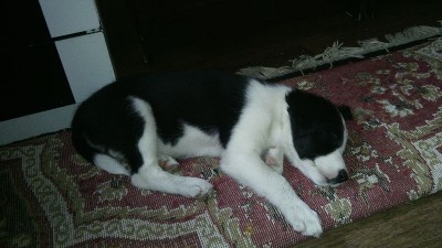 LuTBqJlmaKQ.jpg (67.73 КБ) 7645 просмотров LuTBqJlmaKQ.jpg