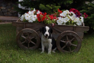 sTrWxYV66Ig.jpg (52.85 КБ) 7685 просмотров sTrWxYV66Ig.jpg