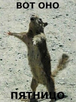 img_8766423_58_0.jpg (53.08 КБ) 6431 просмотр img_8766423_58_0.jpg