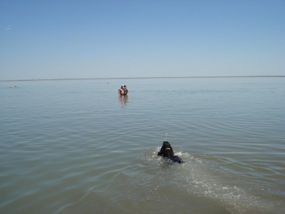 DSC09317.JPG (72.18 КБ) 7661 просмотр DSC09317.JPG