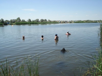 DSC09303.JPG (129.3 КБ) 7635 просмотров DSC09303.JPG