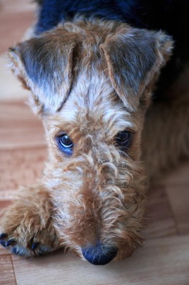 1.jpg (96.75 КБ) 7551 просмотр 1.jpg