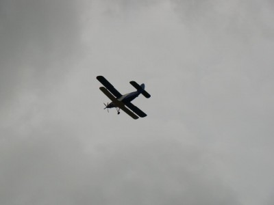 DSC08887.JPG