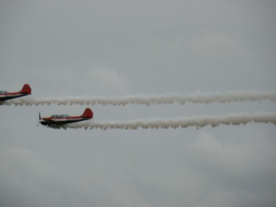 DSC08901.JPG