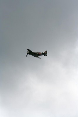 IMG_6202.JPG