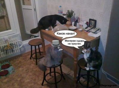 111.jpg (50.71 КБ) 5869 просмотров 111.jpg