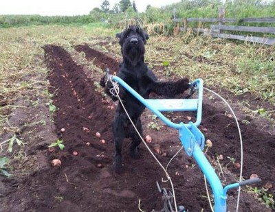 1.jpg (93.44 КБ) 5838 просмотров 1.jpg