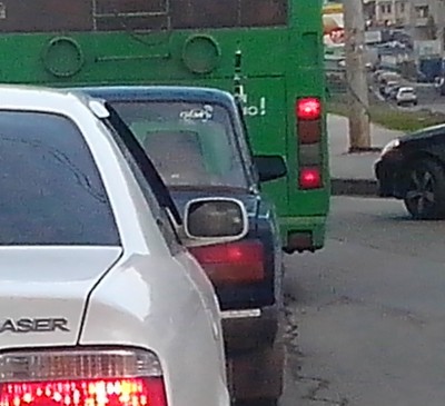 дельфин.jpg (242.61 КБ) 8560 просмотров дельфин.jpg