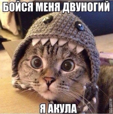 11.jpg (187.61 КБ) 5716 просмотров 11.jpg