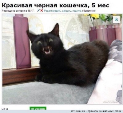 1.jpg (95.47 КБ) 5622 просмотра 1.jpg