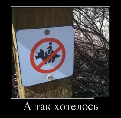 22.jpg (65.6 КБ) 5104 просмотра 22.jpg