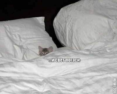 11.jpg (63.93 КБ) 5582 просмотра 11.jpg